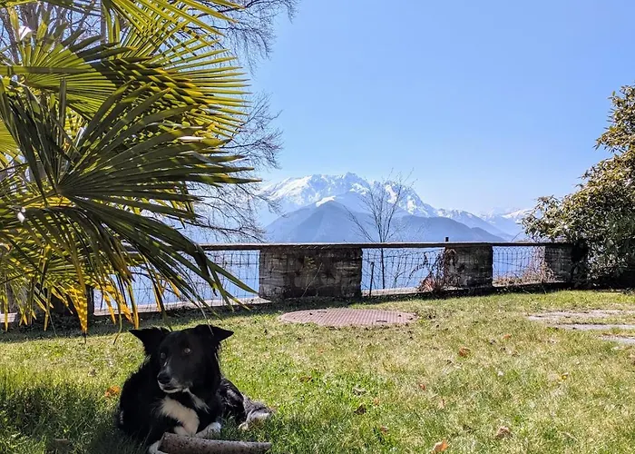 度假居 Haus Unter Der Buche *