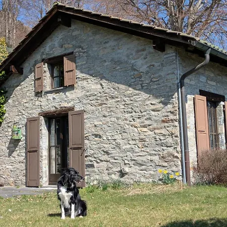 House Under The Beeches- Casa Sotto I Faggi Holiday home