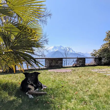 Holiday home House Under The Beeches- Casa Sotto I Faggi *